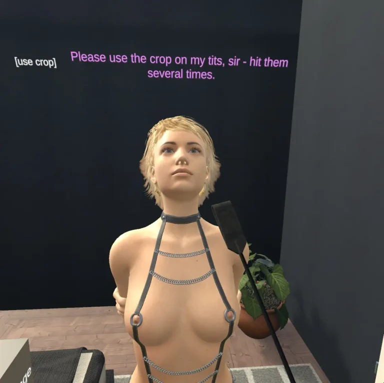 Cover art for SADISFYVR [V0.2.1] [OLOBSTUDIOS]