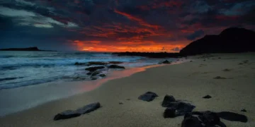 The Spinney beach evening
