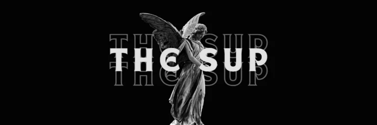 Cover art for THE SUP [V0.9.5] [MEGYMONSTER]