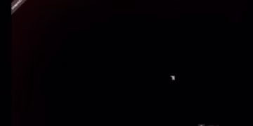 Spermapocalypse Survival