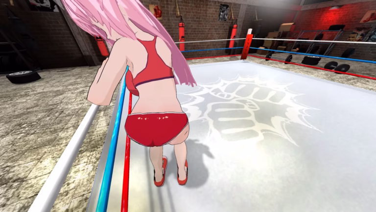 Cover art for HENTAI FIGHTERS VR [1.5.0] [MUHUHU]
